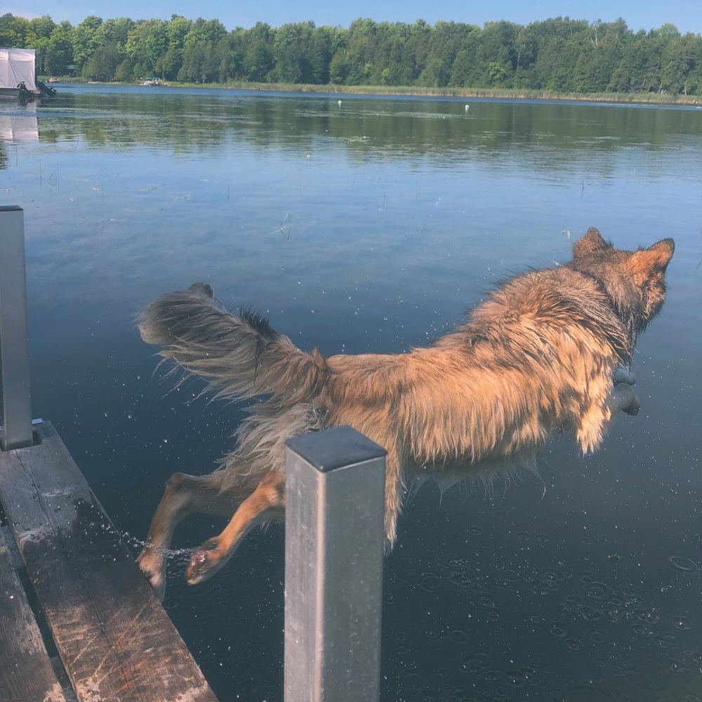 Meet your Posher, Lise